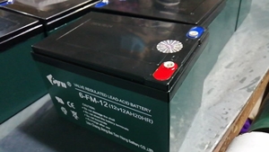 Batterie à cycle profond AGM scellée 12V12AH rechargeable pour voiture électrique bateaux UPS et véhicules électriques-meilleure qualité - Product Image 6