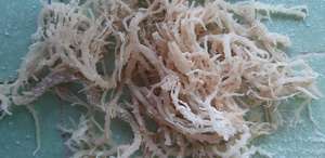 Meilleur Prix Eucheuma Cottonii (Laver) Variété séchée assaisonnée dans un emballage en boîte - Product Image 2