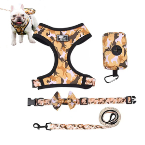 Conjunto de Arnés y Correa para Cachorros S'JOY, Personalizado al por Mayor, Bonito, Transpirable, Duradero, con Hebilla Reflectante, Material de Poliéster - Product Image 2