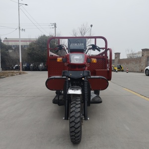 <span class=keywords><strong>Triciclo</strong></span> de Carga de Tres Ruedas con Motor de Gasolina de 250cc, Gran Capacidad y Durabilidad - Product Image 6
