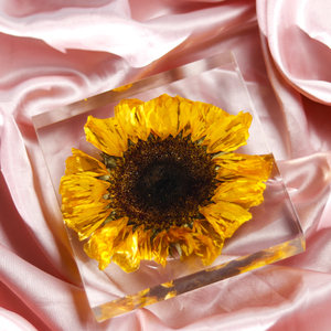 Factory Custom Resin Sunflower Paperweight with Real Flower Decorative Desk Paperweight for Souvenir <b>Gift</b> Promotion - Product Image 1