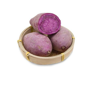 Màu tím khoai lang tím Yam ubi chiết xuất PE bột - Product Image 3