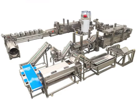 Ligne de production industrielle de chips de pommes de terre fraîches