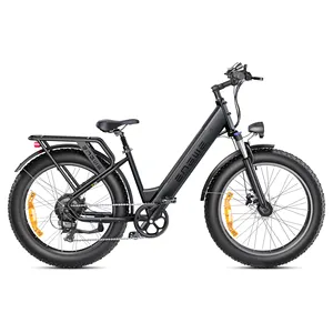 ENGWE E26 ST 250W Step Through Electric Bike 25km/h 48V 16Ah Lithium Electric Bike City E-bike EU Warehouse