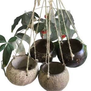 <span class=keywords><strong>Pot</strong></span> suspendu décoratif en coquille de noix de coco naturelle Design moderne Décoration de la maison <span class=keywords><strong>Pot</strong></span> de fleur <span class=keywords><strong>Pot</strong></span> de plante numérique - Product Image 1