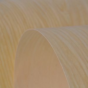 Campione Gratuito: Parquet in Legno Ricomposto di Acero 250x58 cm, Design Contemporaneo Greenland, Taglio a Fette <span class=keywords><strong>per</strong></span> Pavimenti di Hotel - Product Image 2