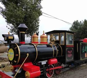 2024 Classic Tourist Attraction Land Railroad Train con vía para adultos