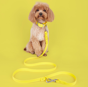 Conjunto de <span class=keywords><strong>Collar</strong></span> y Correa para Perro, PVC Impermeable, Ajustable, Antiolores, Fácil de Limpiar, para Perros Pequeños - Product Image 5