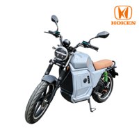 D300 3000W Electric Motorcycle 72V80Ah LFP Battery 100km/h Dual Disc Brake 17 Inch Vacuum Tire Electric Motorbike