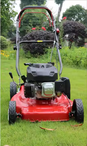 Para <span class=keywords><strong>Honda</strong></span> 173cc Motor de núcleo de cortacésped de <span class=keywords><strong>gasolina</strong></span> autopropulsado componente esencial para máquinas agrícolas y de jardín - Product Image 6