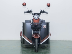 Tricycle électrique motorisé 48V 1000W pour personnes à mobilité réduite, véhicule de skateboard tout-terrain Ks-ly-09, version spéciale différenti - Product Image 6