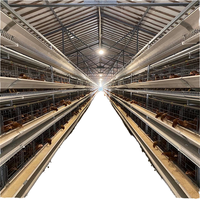 Équipement d'élevage avicole automatique commercial en gros, cage à poules pondeuses de type A et H avec matériau antirouille