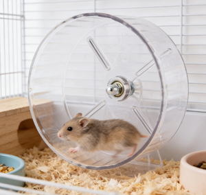 Túnel Impermeable para Hámster, Juguete Silencioso con Ruedas, Soporte para Hámster Golden Bear, Suministros para Mascotas, Juguete de Paisaje en Caja - Product Image 2