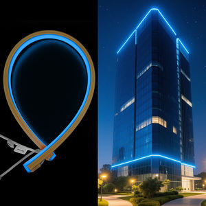 Personalizzabile Dmx512 controllo flessibile IP67 impermeabile striscia <span class=keywords><strong>Led</strong></span> luce pixel RGBW luce al Neon per la facciata di edifici alberghieri - Product Image 1