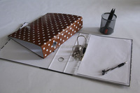 Classeur à levier A4/FC à libération rapide, perforé, pour documents à feuilles mobiles, couleurs personnalisées, vente en gros du fabricant