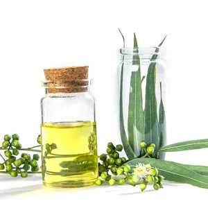 Produttore prezzo all'ingrosso puro olio essenziale di eucalipto biologico lavanda menta piperita citronella Ylang