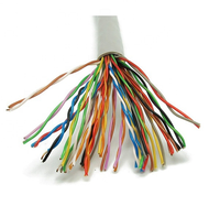 Câble de communication téléphonique intérieur multipaire Cat3 250 paires