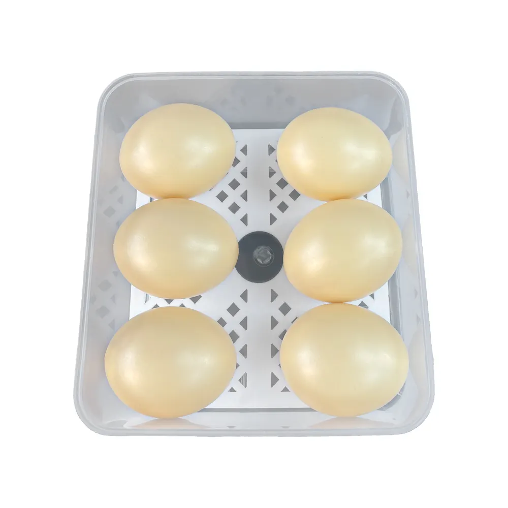 Inkubator telur suhu otomatis HT-6, pabrik Harga terbaik, inkubator telur ayam pasokan air otomatis Mini 6 buah