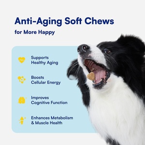 Integratore Masticabile Morbido Antietà e Antiossidante per Animali Domestici con Precursore di NAD+ e Integratore per Cani Anziani per la Longevità - Product Image 3