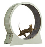 Roue d'exercice silencieuse en bois massif pour chat, roue de course silencieuse en contreplaqué pour perte de poids, jouet de fitness, tapis de course
