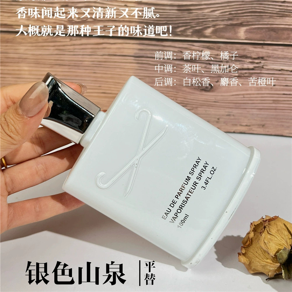 Wholesale 100ml Men's Perfume Silver Mountain Water High