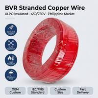 Cable Eléctrico Industrial de Alta Tensión Personalizado, BVR, Cobre Trenzado, Aislamiento XLPO, 450/750V, Resistente al Calor, IEC PNS, para Construcción