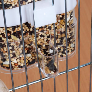 Papağan Dostu Stoklanmış Kuş Yemliği Dayanıklı Plastik Yeniden Kullanılabilir Kafes Aksesuarları Her Mevsim İçin Temiz ve Kolay Kurulum - Product Image 6