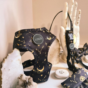 Arnés y Correa para Mascotas Reversibles con Logotipo Personalizado, Sin Tirones, Impresión OEM, Ajustable, Ligero, Juego de Arnés para Perro Celestial - Product Image 2