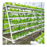 Kit de serre agricole NFT pour hydroponie, serre tunnel à simple travée en film PE pour laitue