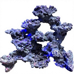 Estructura de Roca para Acuario en Forma de Cilindro, Decoración Acuática, Adhesivo Viscoso, Estilo Coral Moldeado, Paisajismo para Tanques - Product Image 6