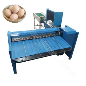 Machine de tri des œufs, estampage des œufs, cailles, fournisseurs d'équipement de classement des œufs d'occasion