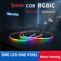 Vente en gros d'usine, OEM ODM disponible, bande LED flexible numérique RGBIC de 5 mètres, 5 mm, 160 LED par mètre, changement de couleur complet
