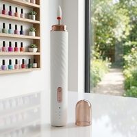 Ponceuse à ongles électrique au prix le plus bas, 6 embouts de perçage pour ongles en acrylique, manucure, pédicure, salon à domicile, kit d'outils de bricolage pour l'art des ongles