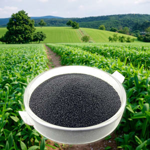 Extrait d'algues, alginate, <span class=keywords><strong>engrais</strong></span> de croissance rapide des racines, <span class=keywords><strong>engrais</strong></span> soluble dans l'eau, <span class=keywords><strong>engrais</strong></span> <span class=keywords><strong>universel</strong></span> de transplantation - Product Image 6