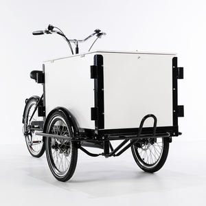 Vélo <span class=keywords><strong>cargo</strong></span> Portable de <span class=keywords><strong>petit</strong></span> budget, standard européen sans taxes pour la famille, transport de dernier mile, livraison assistée électrique - Product Image 6