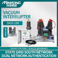 Disjoncteur à vide monophasé extérieur en cuivre ZW32M-12KV 12kV haute tension, capacité de coupure 20KA, VCB pour moyenne tension