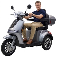 Scooter de mobilité pour personnes âgées, batterie amovible 30AH, charge 200kg, conduite électronique facile, sécurité, 25KM/H, moteur 1000W