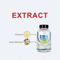 Kapsul HDK OEM ODM ZMA 510mg Seng Magnesium Vitamin B6 Peningkat Penyerapan Imunitas Dukungan Otot