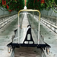 Chariot de récolte grande capacité monocouche en acier pour la cueillette de concombres et le transport de tomates en serre