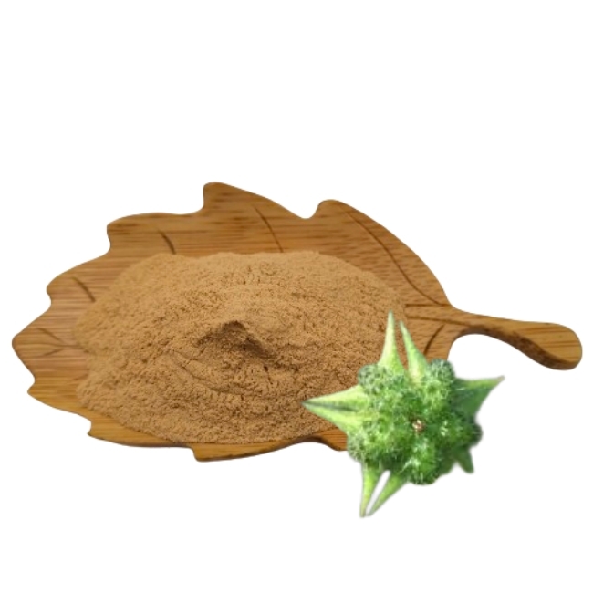 Экстракт tribulus terrestris, растительный экстракт tribulus terrestris, порошок, экстракт tribulus terrestris