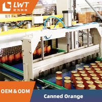 Volautomatische Ingeblikte Olijvenproductielijn/Ingeblikte Fruitverwerkingslijn