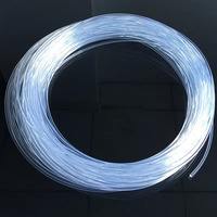 Lumières LED à fibres optiques pour piscine, en plastique PMMA, éclairage latéral, résistantes à l'eau IP44, DC 12V, pour décoration extérieure
