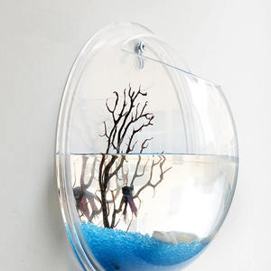 Vase mural transparent pour plantes, décoration d'intérieur, <span class=keywords><strong>aquarium</strong></span> en acrylique, <span class=keywords><strong>aquarium</strong></span> pour poissons, de haute qualité - Product Image 4