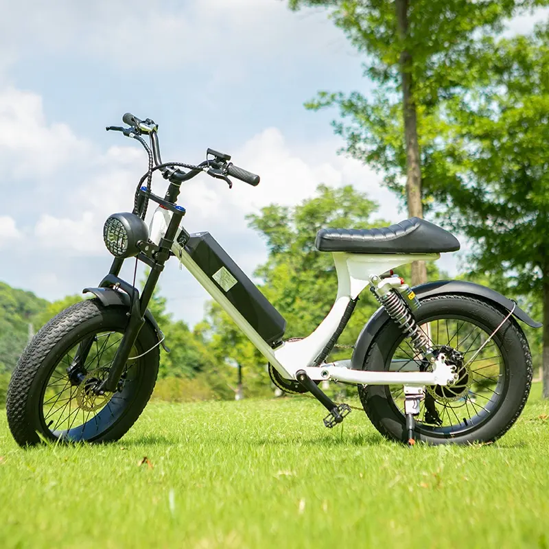 2022 New Arrival lithium battery foldable electric bicycle with pedals bike for sale