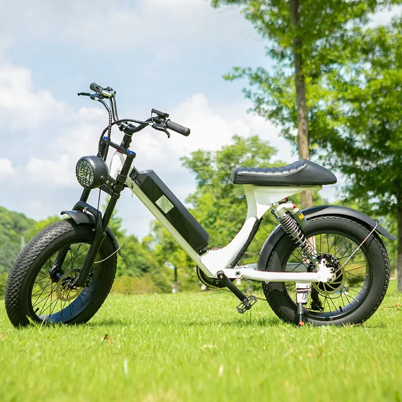 2022 Nieuwe Aankomst Lithium Batterij Opvouwbare Elektrische Fiets Met Pedalen Fiets Te Koop