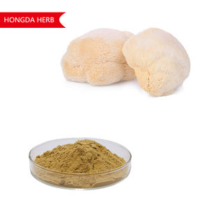 Lions Mane Mushroom Extracto Polisacárido 30% Polvo <span class=keywords><strong>Hericium</strong></span> <span class=keywords><strong>Erinaceus</strong></span> Extracto - Product Image 2