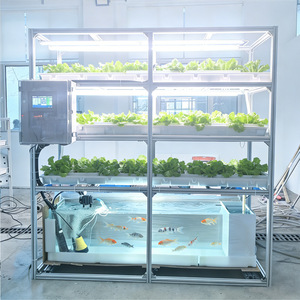 Sistema de Acuaponía Ecológico <span class=keywords><strong>con</strong></span> Recirculación e Iluminación <span class=keywords><strong>LED</strong></span> para Plantas, Integración de Peces y <span class=keywords><strong>Cultivo</strong></span> de Vegetales en Interiores - Product Image 1