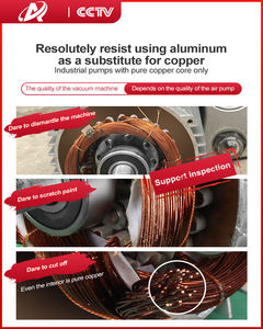 DZ340 Ansenco Desktop Electric Automatic High Quality Food Vacuum Sealing Machine for Pork <b>Fish</b> Chicken Film Foil Pouch - Product Image 4