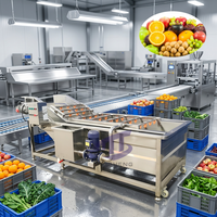 Automatische belwasmachine voor fruit, groenten, bladeren en rode dadels, reinigings- en drooglijn, spuitwasmachine, motor, roestvrij staal, hoogwaardig