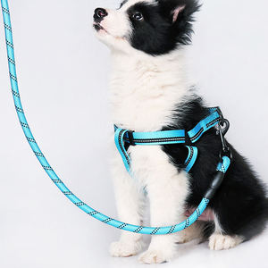 Fabrika özel Logo akıllı güçlü su geçirmez rahat büyük yansıtıcı naylon yuvarlak halat köpek evcil hayvan tasması - Product Image 6